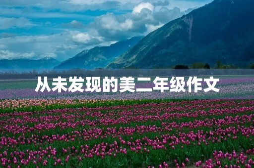 从未发现的美二年级作文