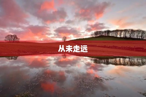 从未走远