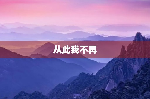 从此我不再