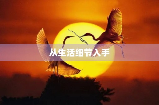 从生活细节入手，共同建设美丽家园
