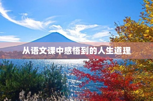 从语文课中感悟到的人生道理