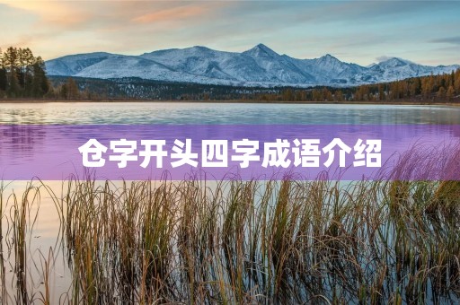 仓字开头四字成语介绍