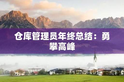 仓库管理员年终总结:勇攀高峰,开启新征程
