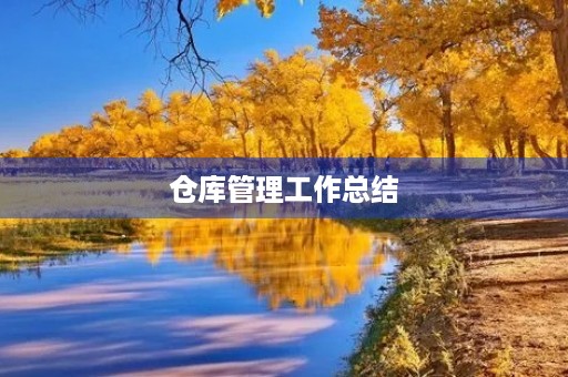 仓库管理工作总结
