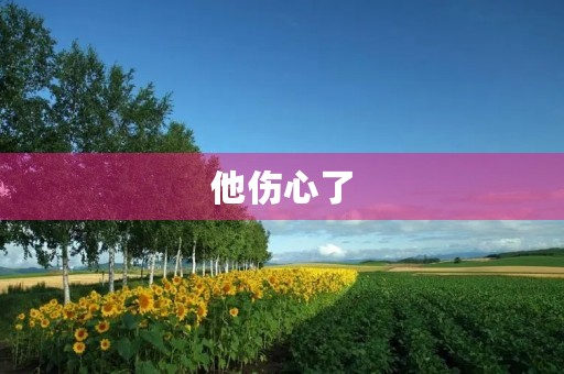 他伤心了,但他依然是优秀的 他伤心了,但他依然是优秀的