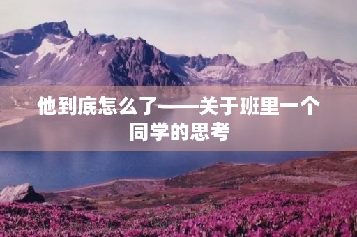 他到底怎么了——关于班里一个同学的思考