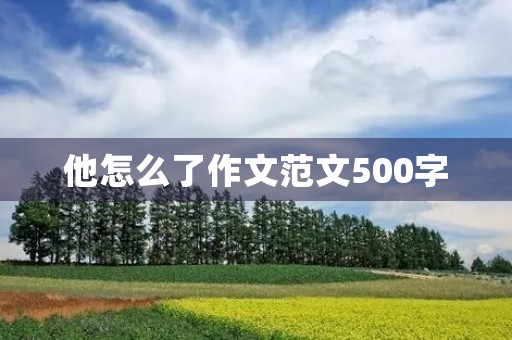 他怎么了作文范文500字 他怎么了作文范文500字