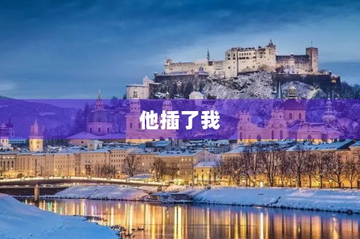 他插了我 他插了我
