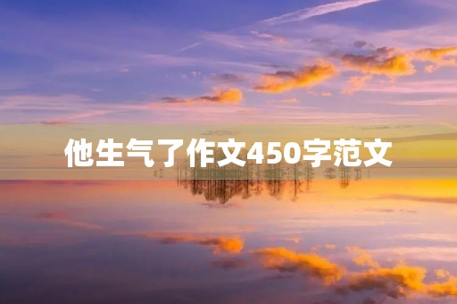 他生气了作文450字范文