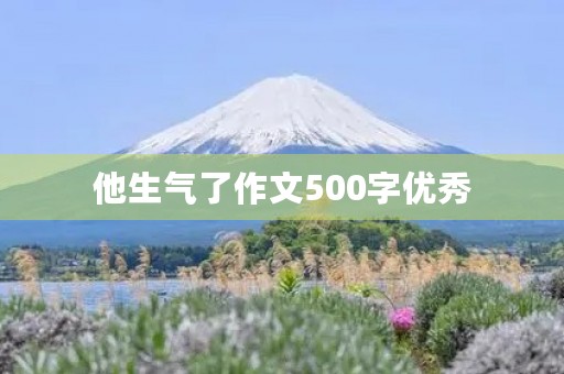 他生气了作文500字优秀