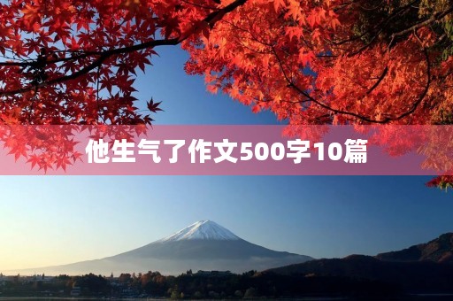 他生气了作文500字10篇 他生气了作文500字10篇