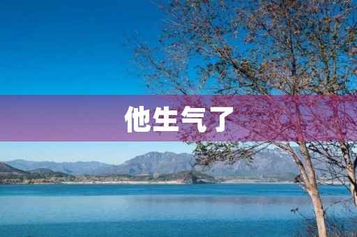 他生气了，原因是什么？