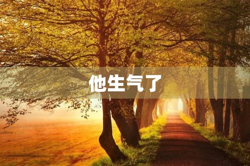他生气了,因为…… 他生气了,因为……