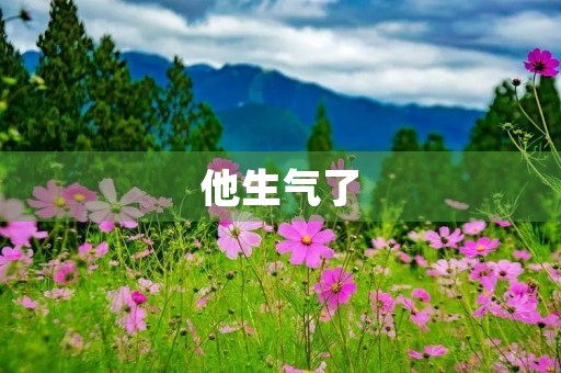 他生气了，我该怎么办