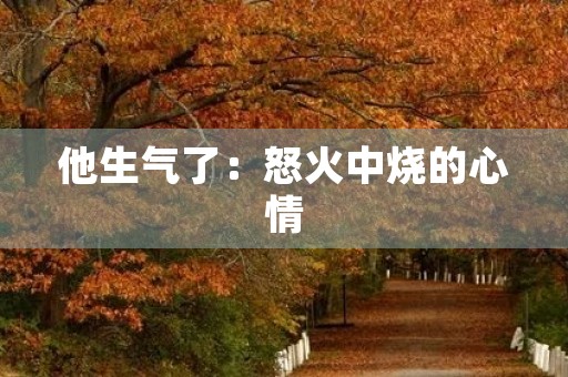他生气了：怒火中烧的心情