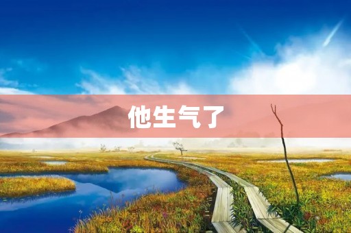 他生气了 他生气了