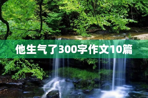 他生气了300字作文10篇 他生气了300字作文10篇