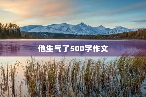 他生气了500字作文 他生气了500字作文