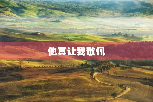 他真让我敬佩