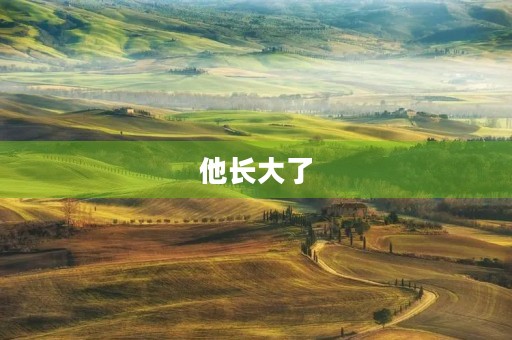 他长大了 他长大了