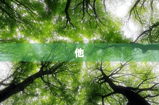 他（她）离开了