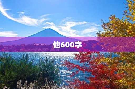 他600字 他600字