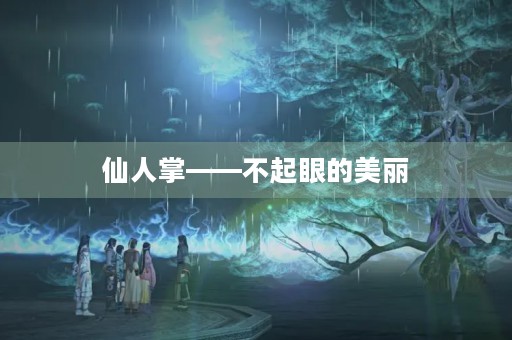 仙人掌——不起眼的美丽 仙人掌——不起眼的美丽