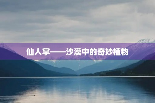仙人掌——沙漠中的奇妙植物