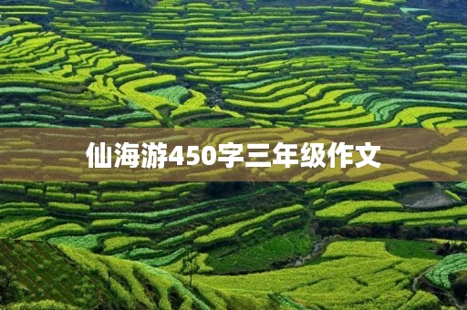 仙海游450字三年级作文 仙海游450字三年级作文