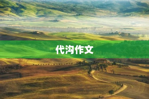 代沟作文