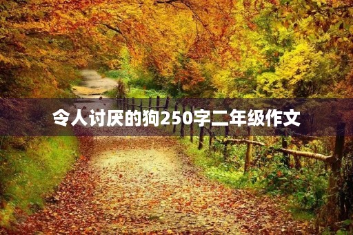 令人讨厌的狗250字二年级作文