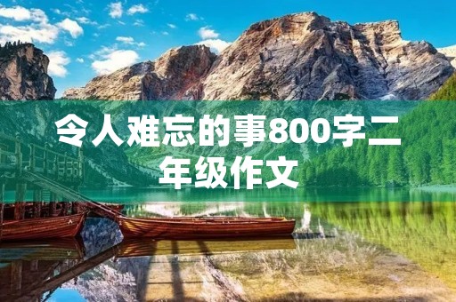 令人难忘的事800字二年级作文