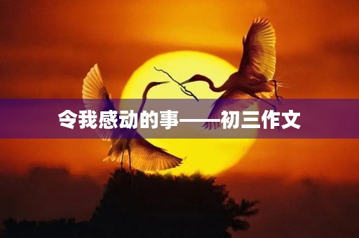 令我感动的事——初三作文 令我感动的事——初三作文