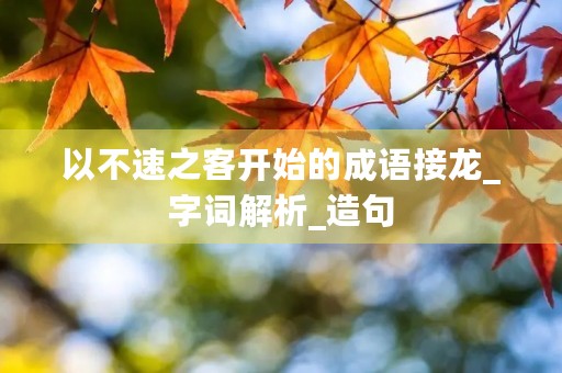 以不速之客开始的成语接龙_字词解析_造句