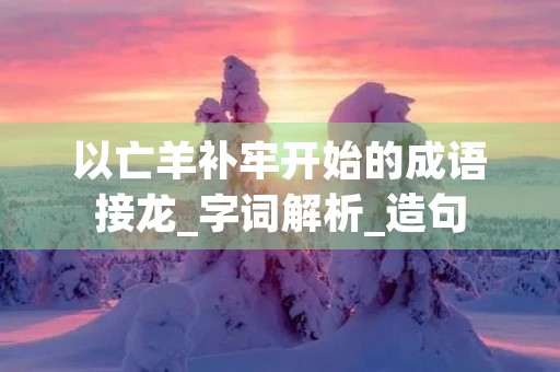 以亡羊补牢开始的成语接龙_字词解析_造句