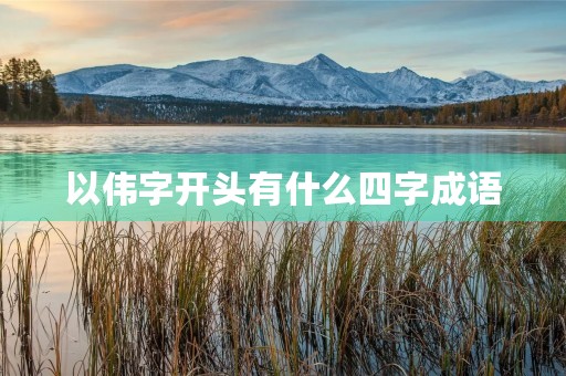 以伟字开头有什么四字成语