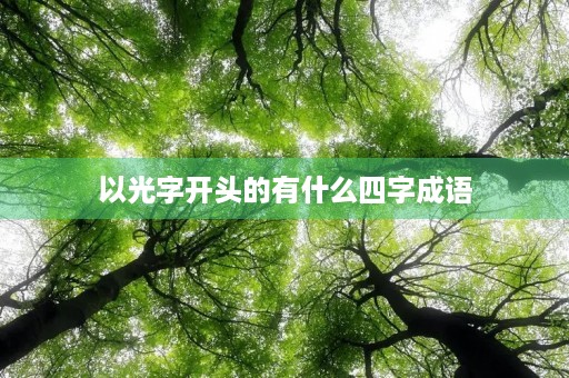 以光字开头的有什么四字成语