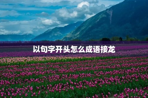 以句字开头怎么成语接龙