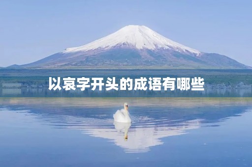 以哀字开头的成语有哪些 以哀字开头的成语有哪些