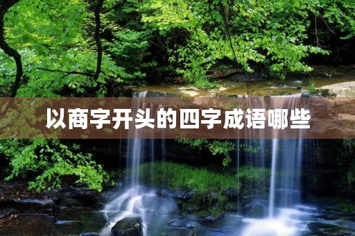 以商字开头的四字成语哪些