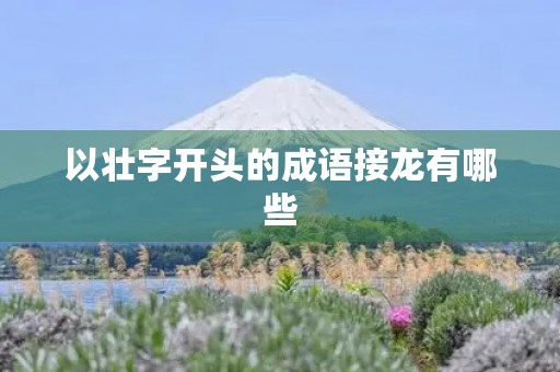 以壮字开头的成语接龙有哪些 以壮字开头的成语接龙有哪些