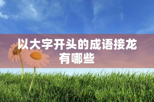 以大字开头的成语接龙有哪些