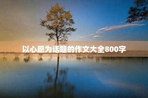 以心愿为话题的作文大全800字