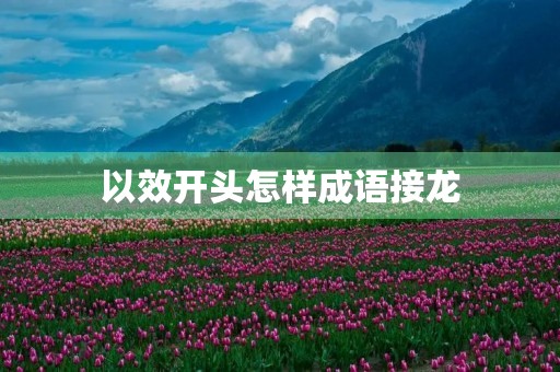 以效开头怎样成语接龙