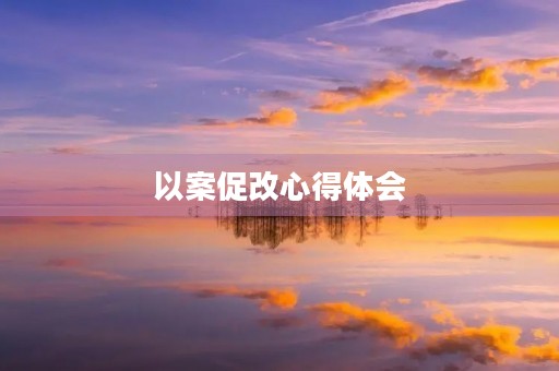以案促改心得体会 以案促改心得体会