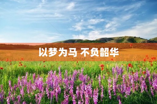 以梦为马 不负韶华