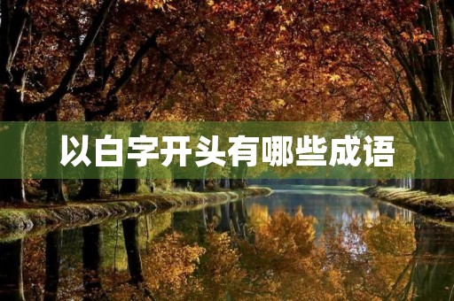 以白字开头有哪些成语