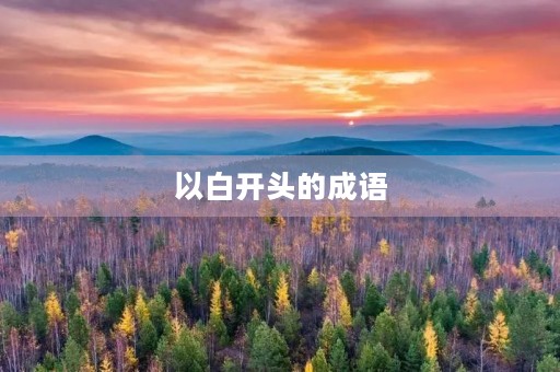 以白开头的成语 以白开头的成语