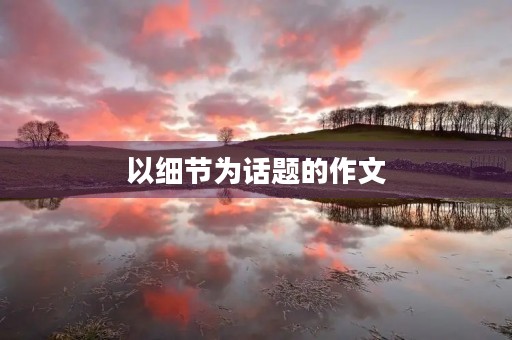 以细节为话题的作文