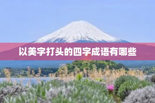 以美字打头的四字成语有哪些